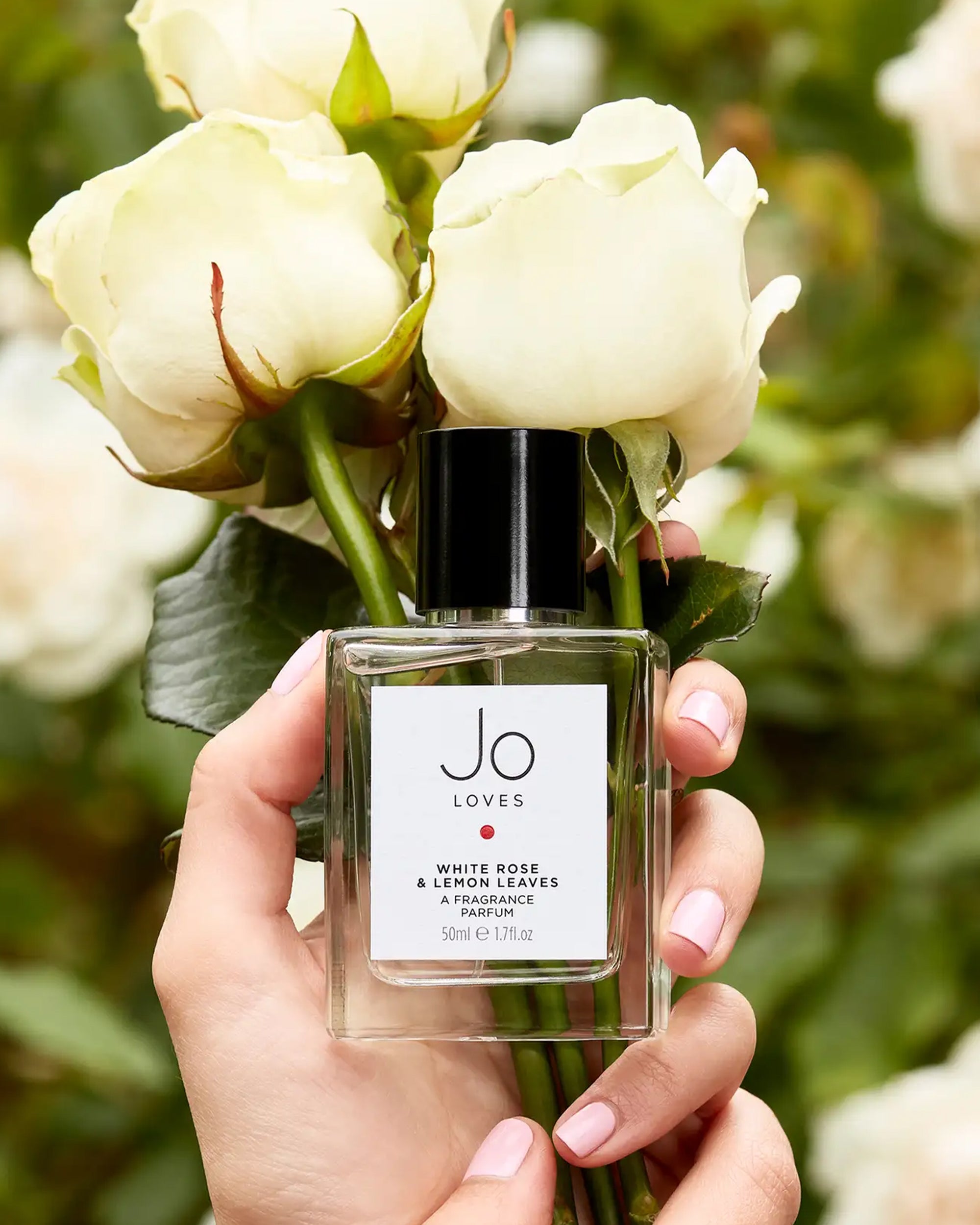 White Rose & Lemon Leaves, A Fragrance (50ml)