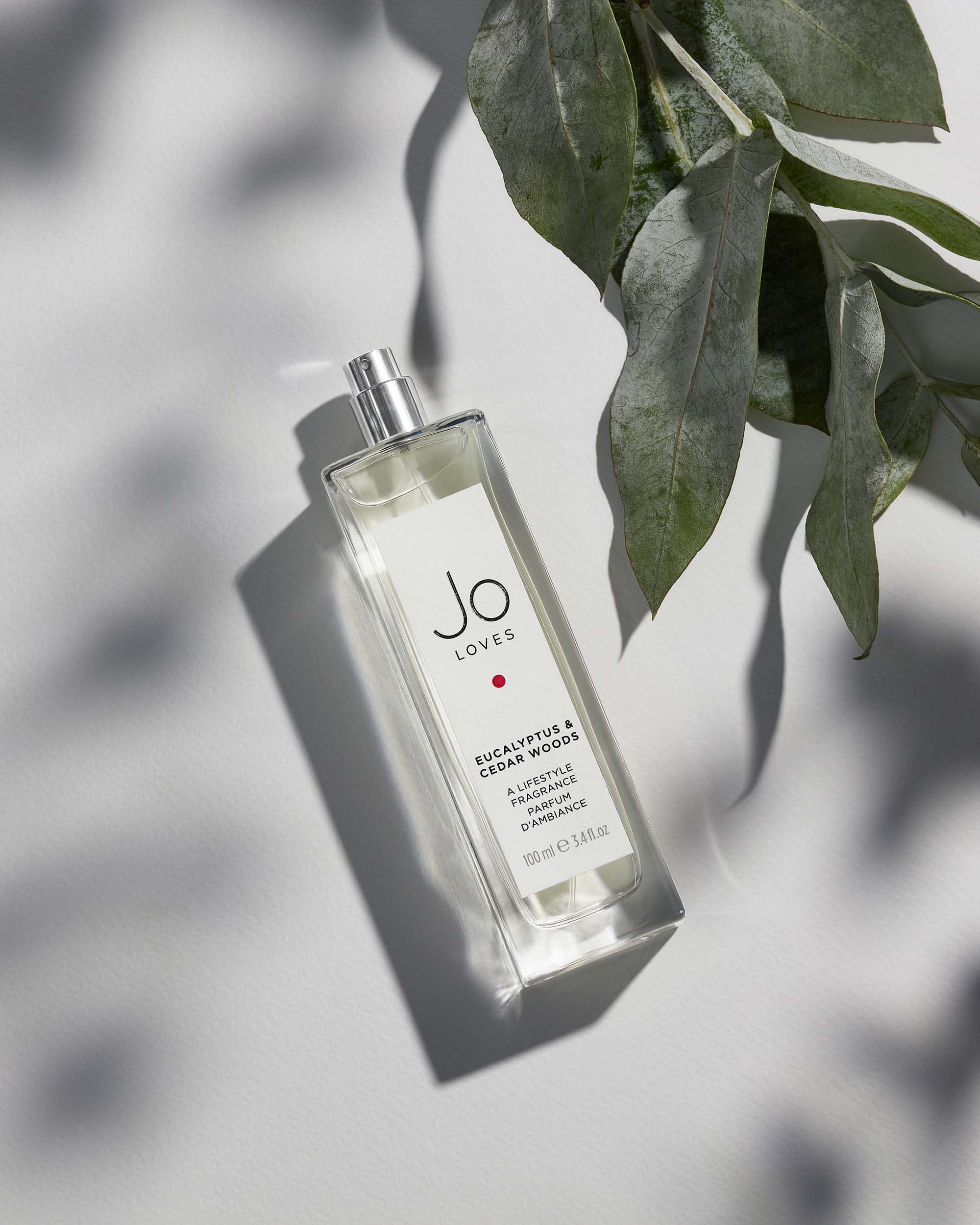 Eucalyptus & Cedar Woods A Lifestyle Fragrance (100ml) - SAC