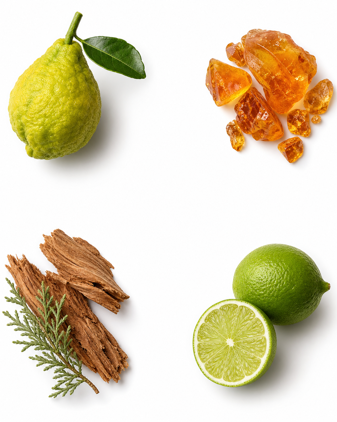 Amber, Lime & Bergamot, A Fragrance (100ml)