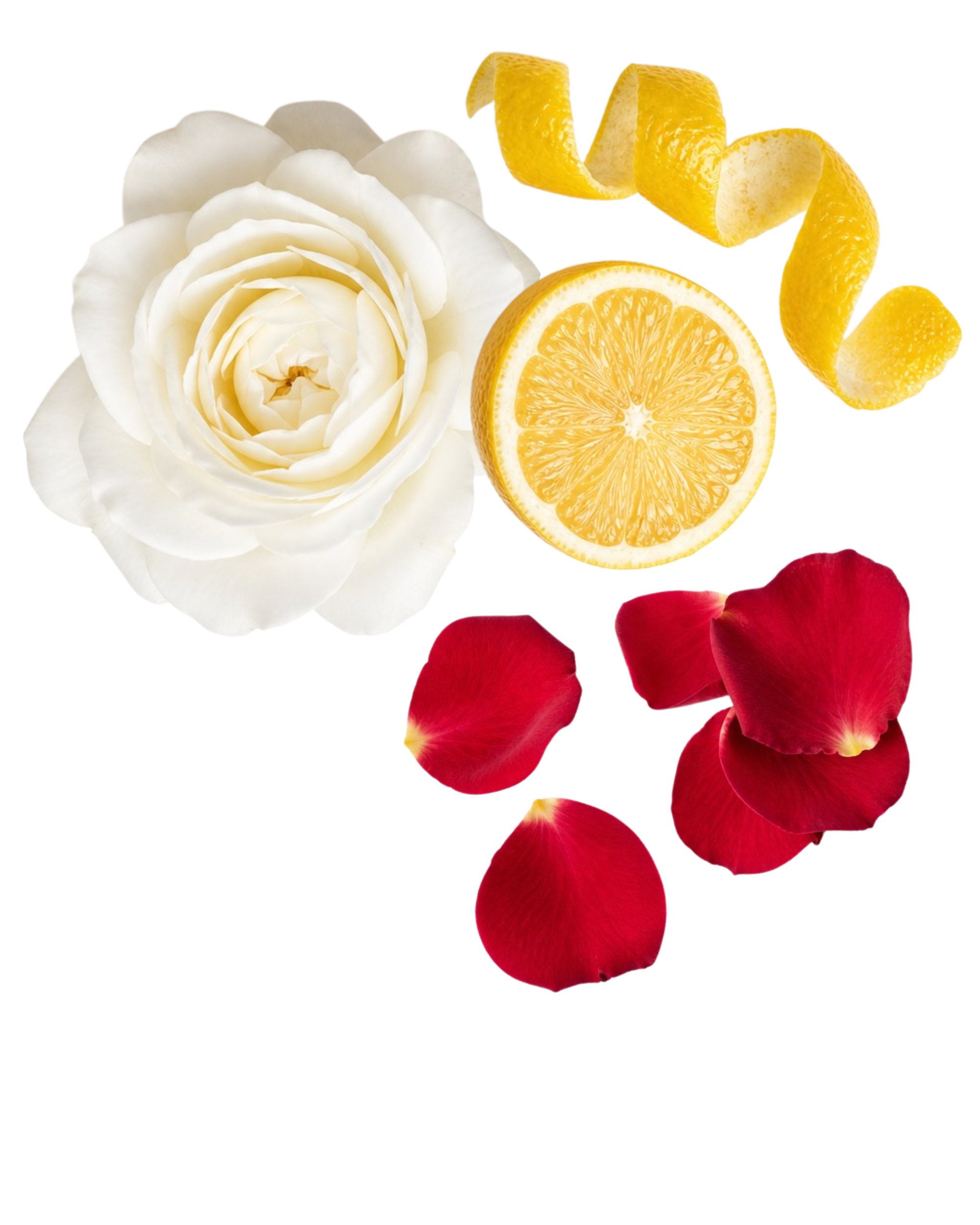 White Rose & Lemon Leaves, A Fragrance (100ml)